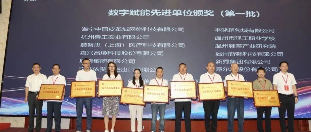 喜报 | 平湖箱包城获评“数字赋能先进单位”